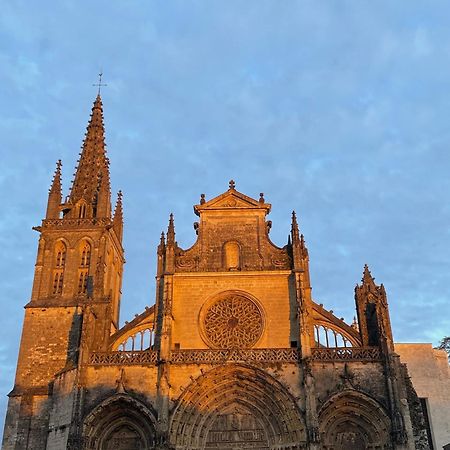 Le Clos De La Cathedrale Bazas Eksteriør bilde