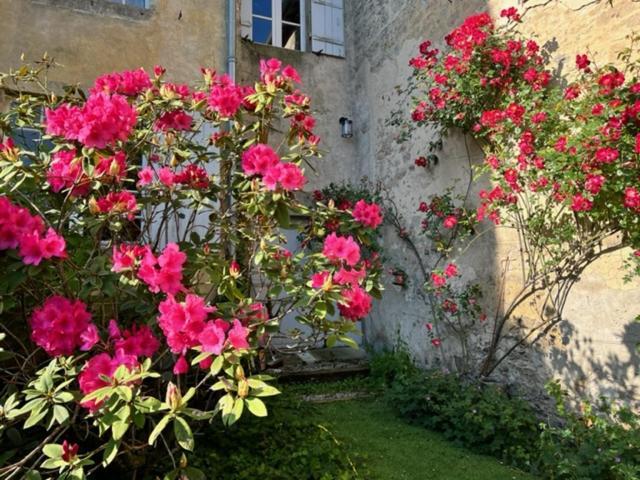 Le Clos De La Cathedrale Bazas Eksteriør bilde